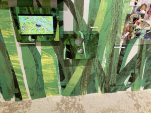 ディスカバリーゾーン