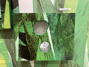 ディスカバリーゾーン