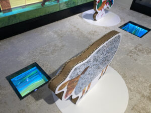 ディスカバリーゾーン