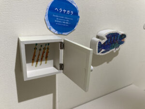 ディスカバリーゾーン